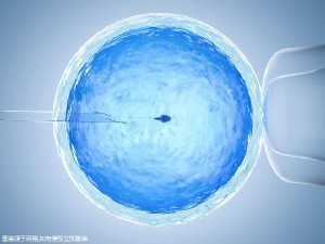 苏雨桐 副主任医师