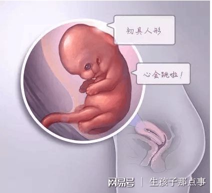 冷冻设备